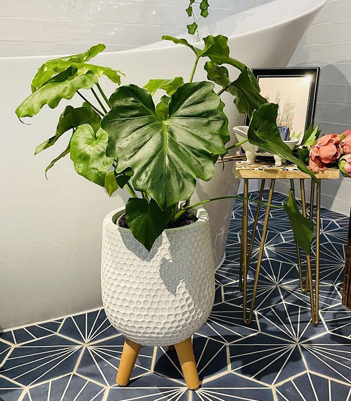 w-planters-5-0 Honeycomb Style - Image 1
