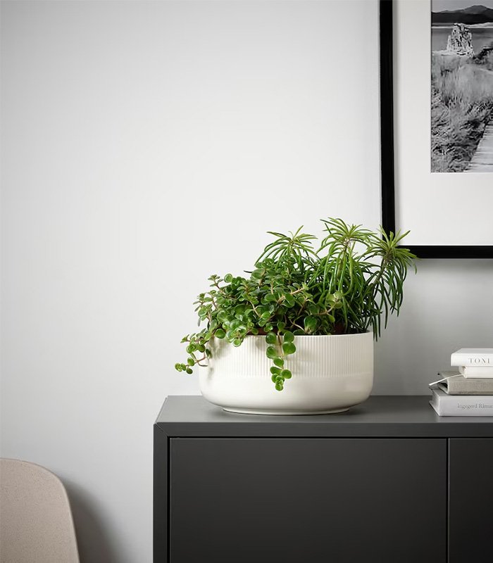 w-planters-8-0 Gradvis - Image 1