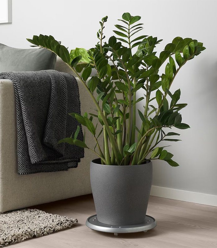 w-planters-9-0 Persilade - Image 1