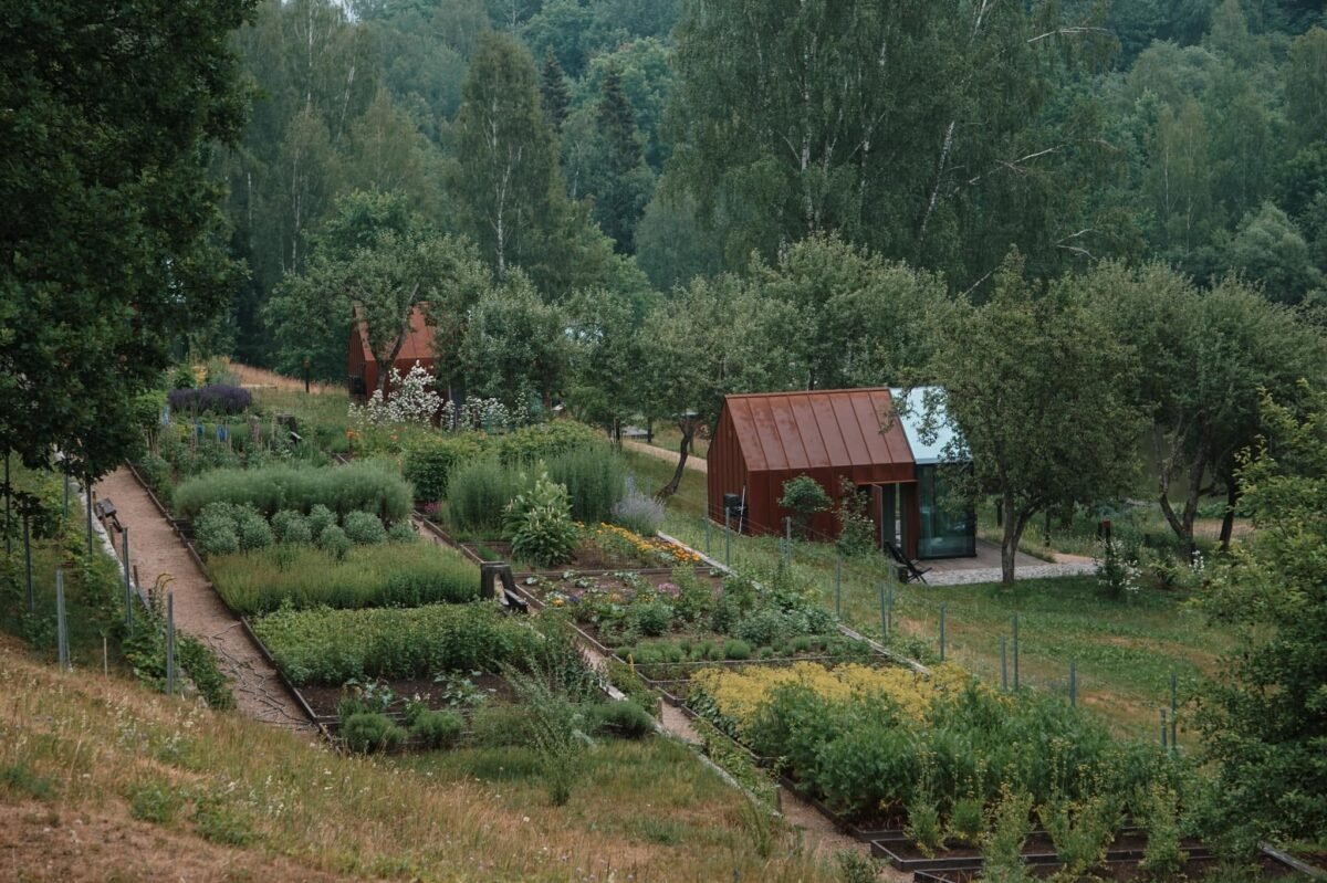 Ziedlejas Wellness Resort - Image 3